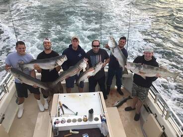 Montauk Report Photo 1