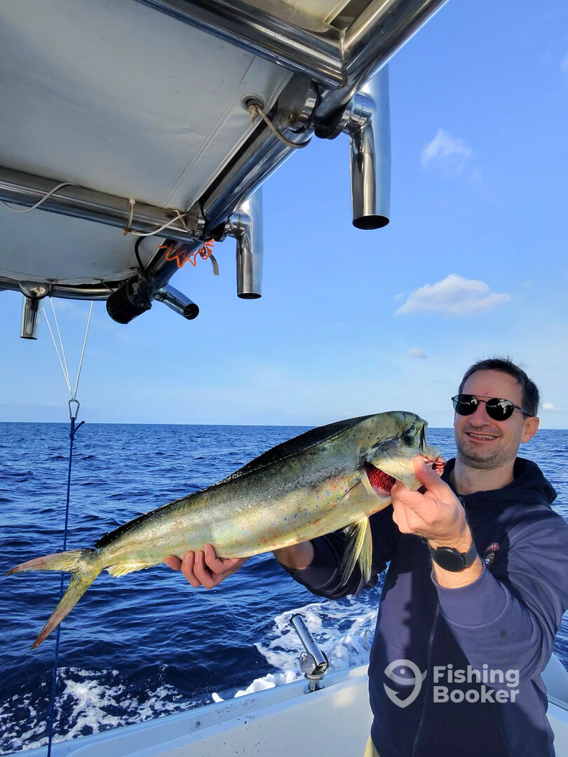 Italy Report Photo 0