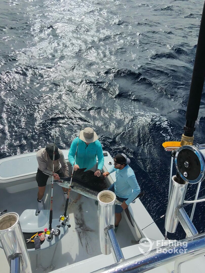 Fort Lauderdale Report Photo 0