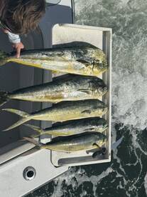 Fort Lauderdale Report Photo 2