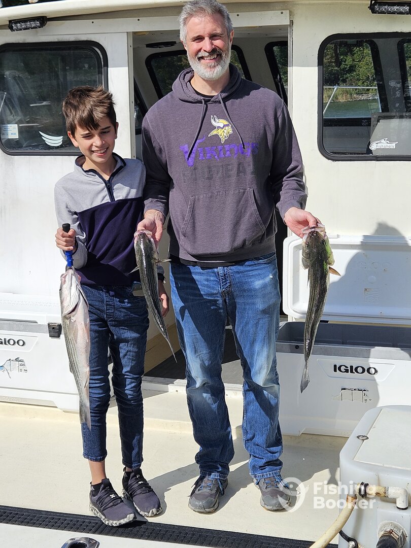 Neavitt Report Photo 0