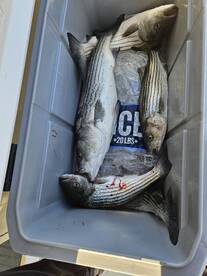 Fall Season is here !!