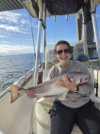 Couple more bull Reds