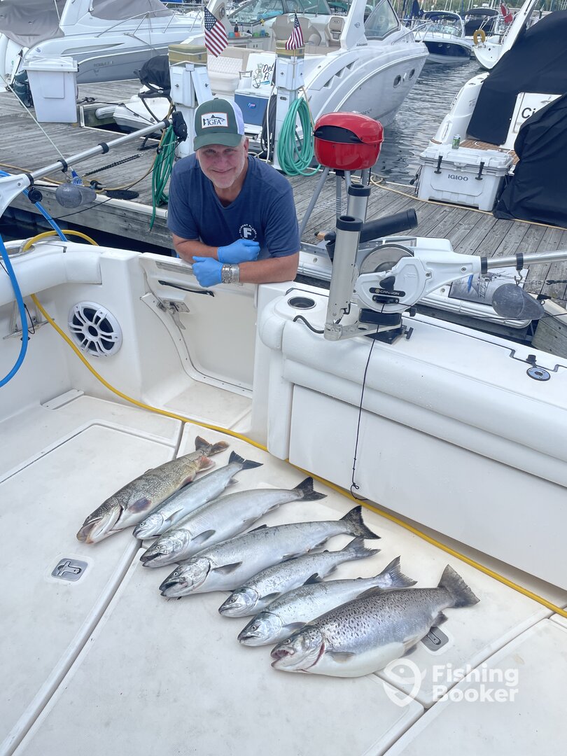 Chicago Report Photo 0