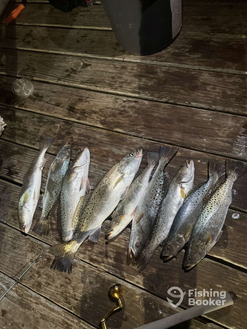 Onslow County Report Photo 0