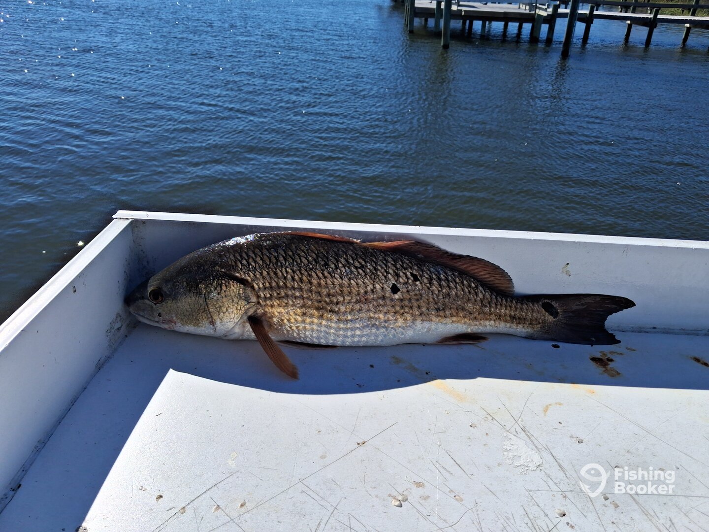 Sneads Ferry Report Photo 0