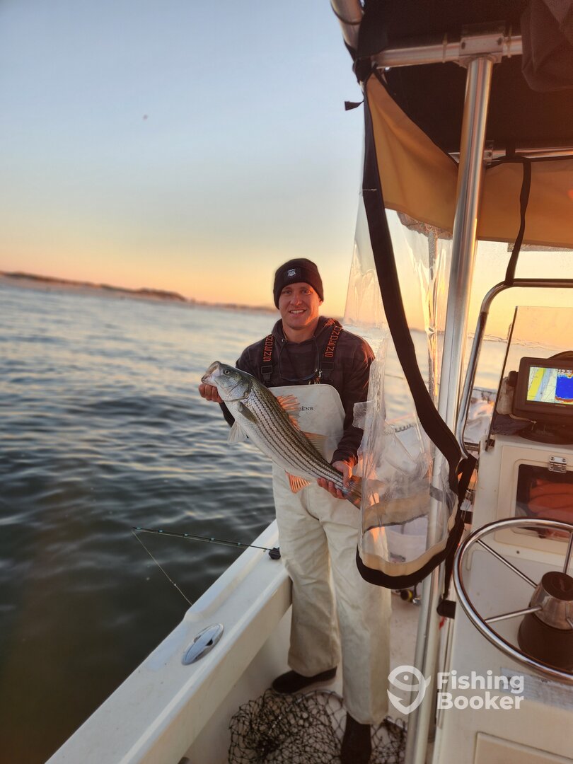 Mastic Report Photo 0