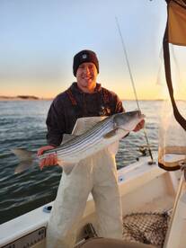 Mastic Report Photo 4