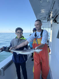 Perth Amboy Report Photo 2