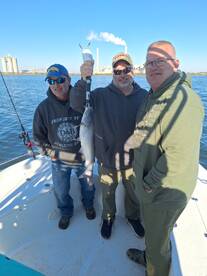 San Antonio Report Photo 1