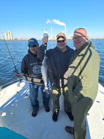 San Antonio Report Photo 2