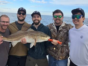 St. Simons Island Report Photo 1