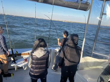 New York City Report Photo 2