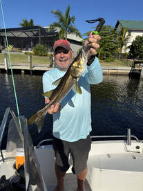 Punta Gorda Report Photo 2