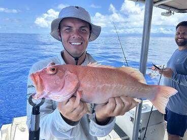 Queensland Report Photo 2