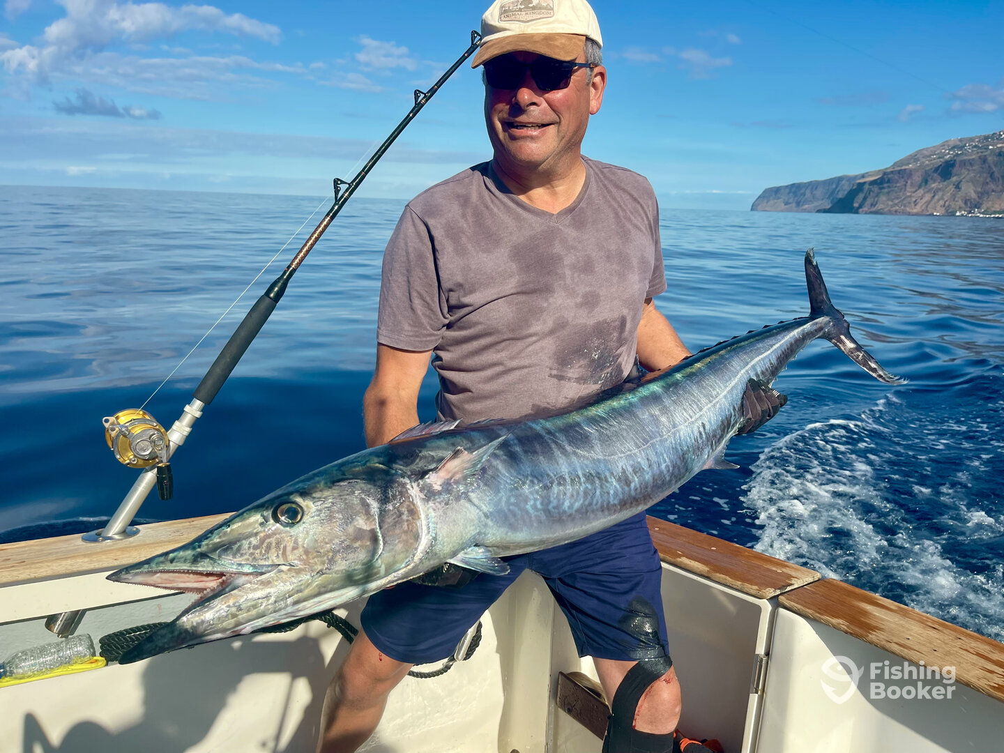 Madeira Report Photo 0