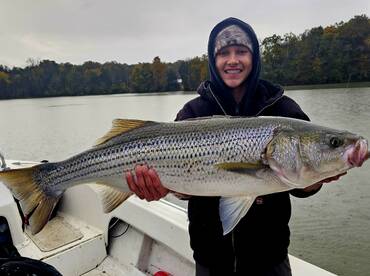 Knoxville Report Photo 1