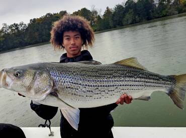 Knoxville Report Photo 2