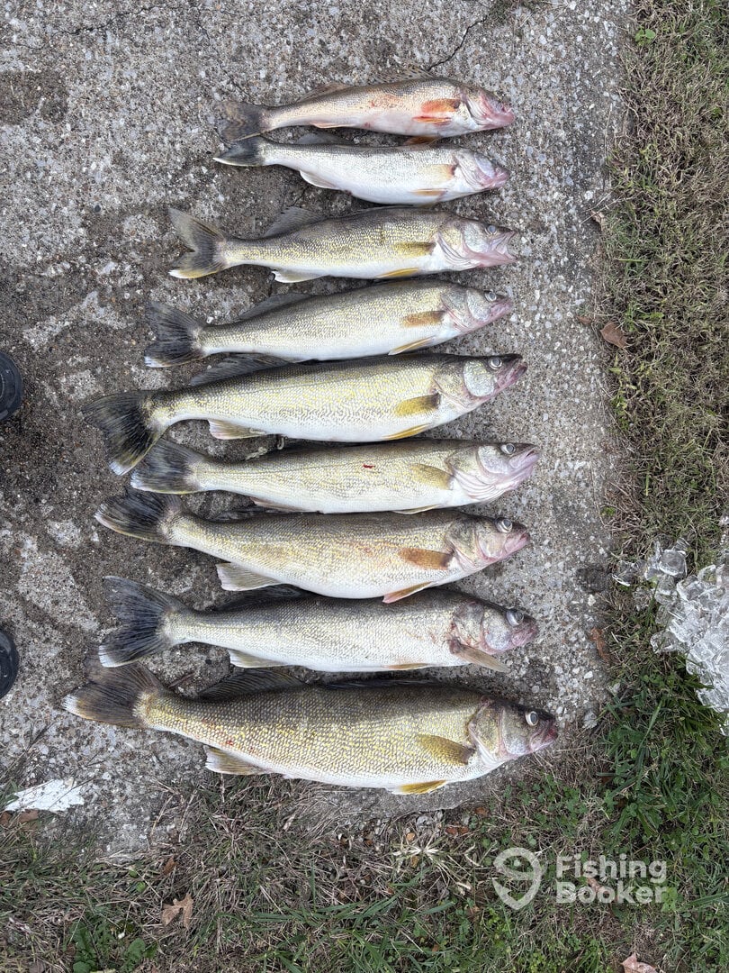 Kentucky Report Photo 0