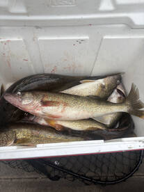 Glasgow Report Photo 3