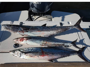 2025 Season is winding down...