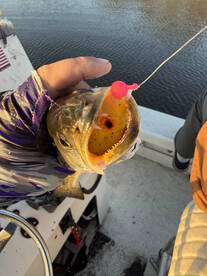 North Carolina Report Photo 2