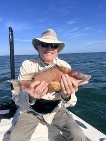 Hogfish tips