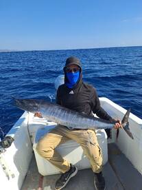 San Jose del Cabo Report Photo 2