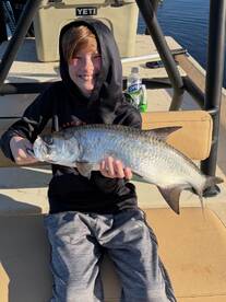 Punta Gorda Report Photo 2