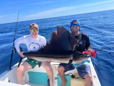 Sailfish on the jig! 