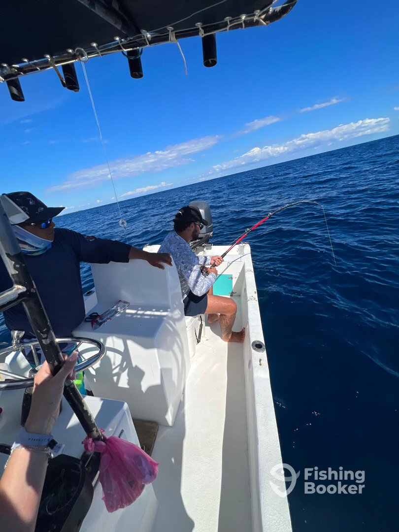 Playa Del Carmen Report Photo 0