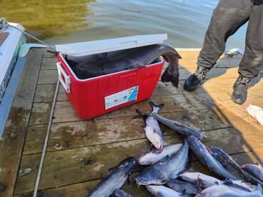 James River Report Photo 3