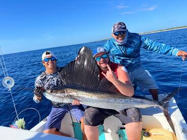 Another day, another sailfish  