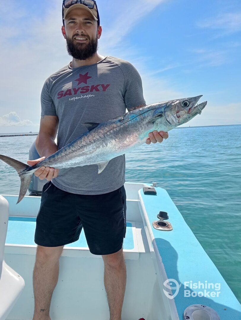 Playa Del Carmen Report Photo 0