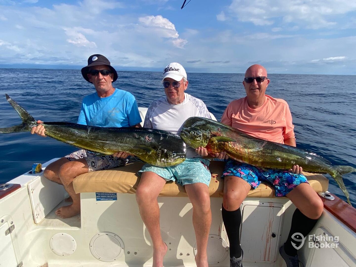 Tamarindo Report Photo 0