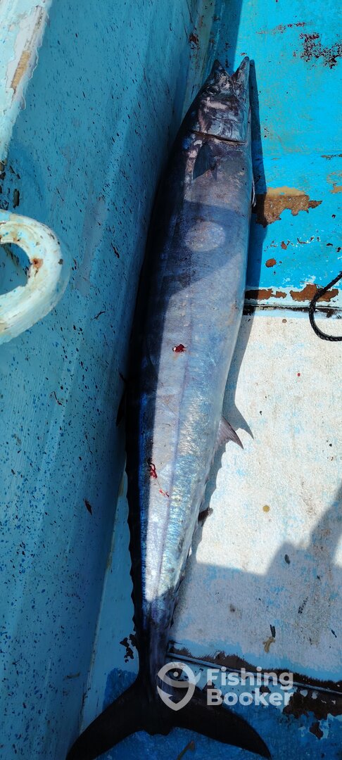 Mahahual Report Photo 0