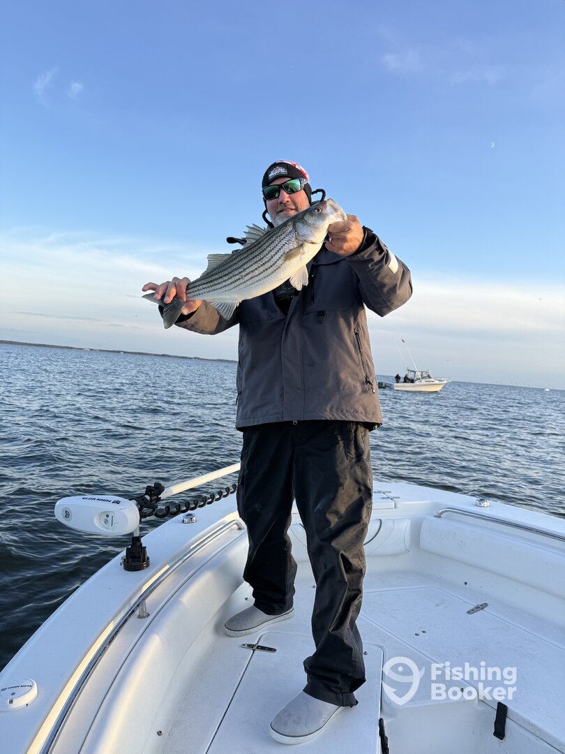 Harford County Report Photo 0