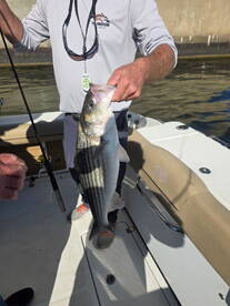 Harford County Report Photo 3