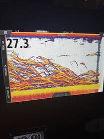 Maryland Report Photo 2