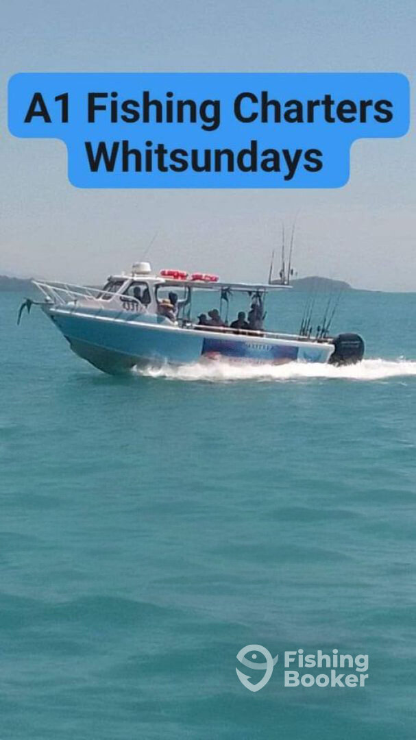 Airlie Beach Report Photo 0