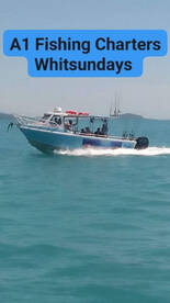 Snorkeling Whitehaven beach private Char