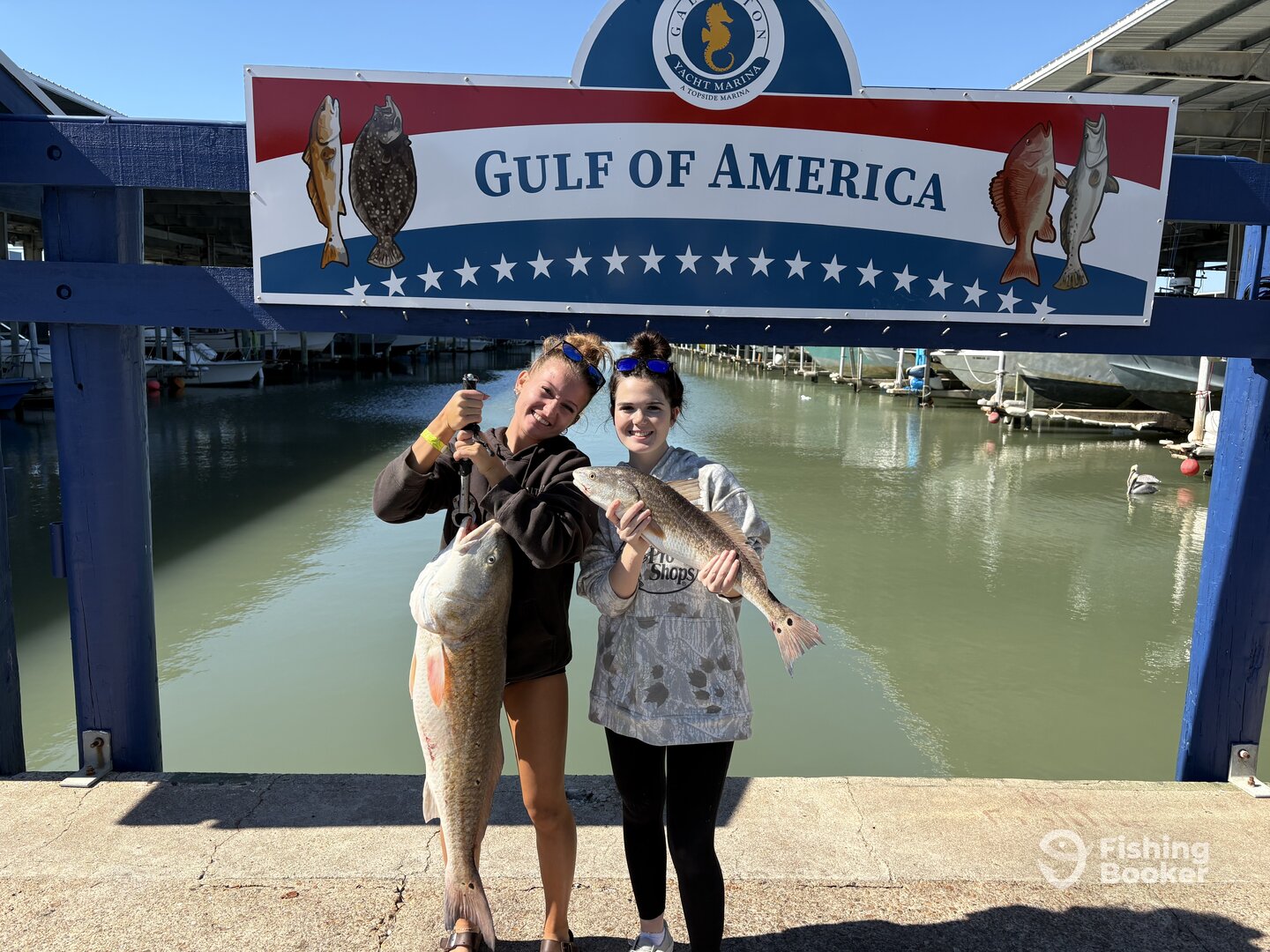 Galveston Report Photo 0