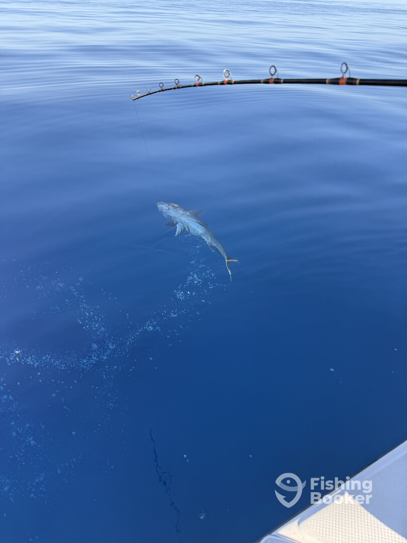 Cabo Pulmo Report Photo 0