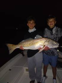 Texas City Report Photo 2