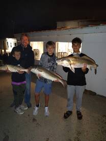 Big pulls with big boxes