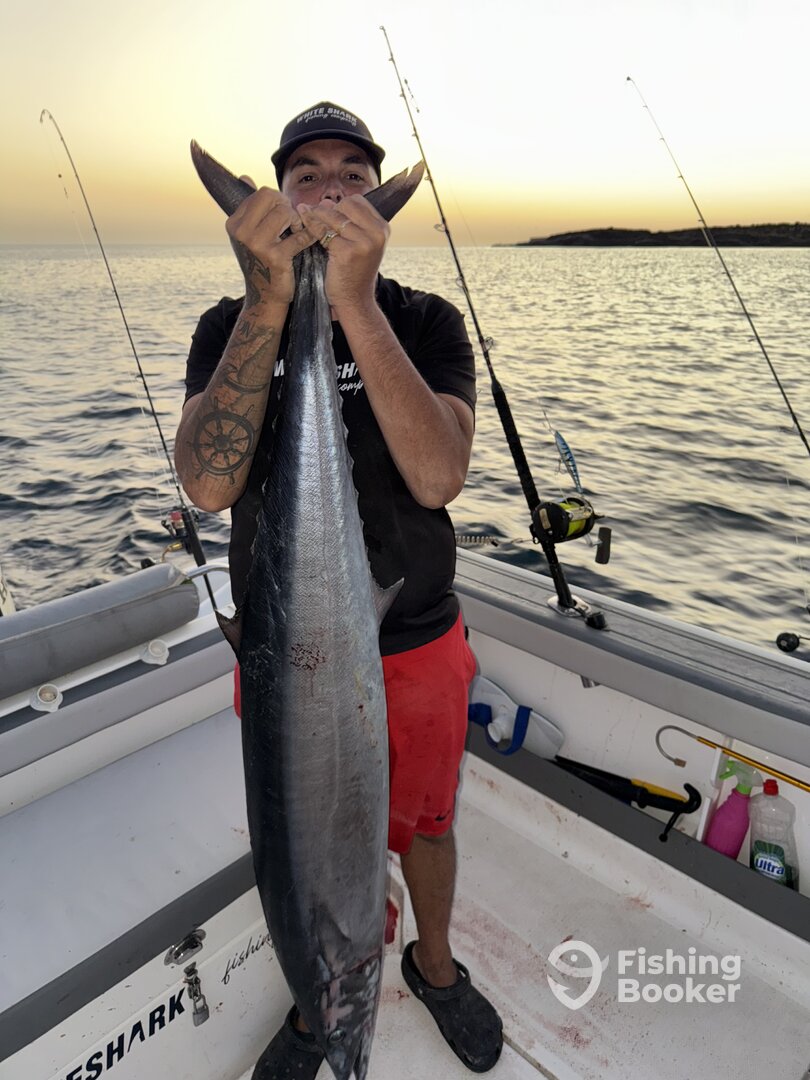 La Palma Report Photo 0