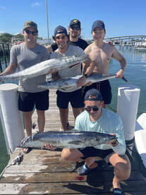 Wahoo Action is on