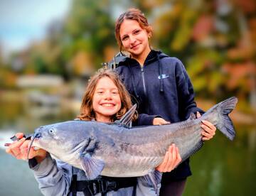 Monster Blue Catfish 