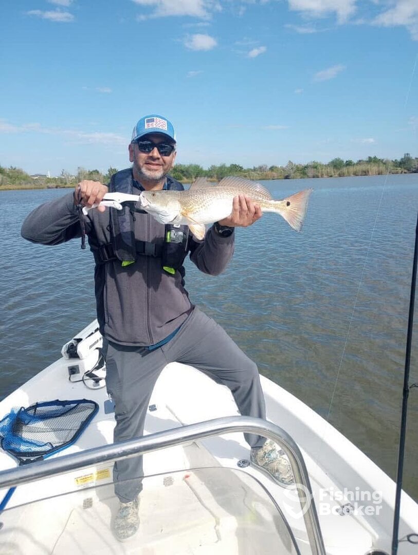 Seabrook Report Photo 0