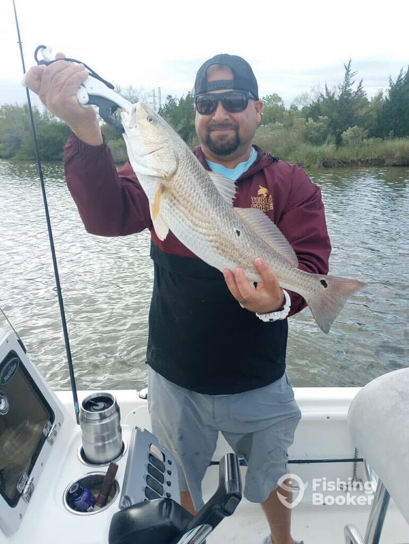 Houston Report Photo 0